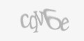 Codul de securitate