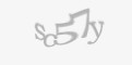 Codul de securitate