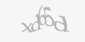 Codul de securitate
