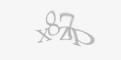 Codul de securitate