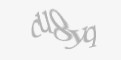 Codul de securitate