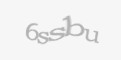 Codul de securitate