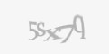 Codul de securitate