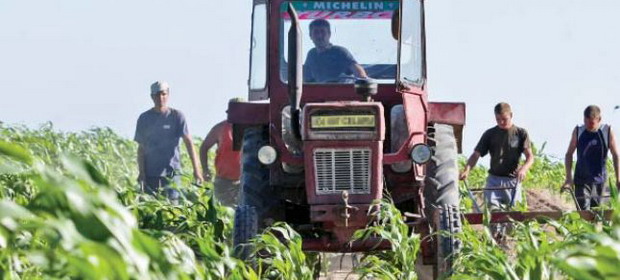 tractor-motorina